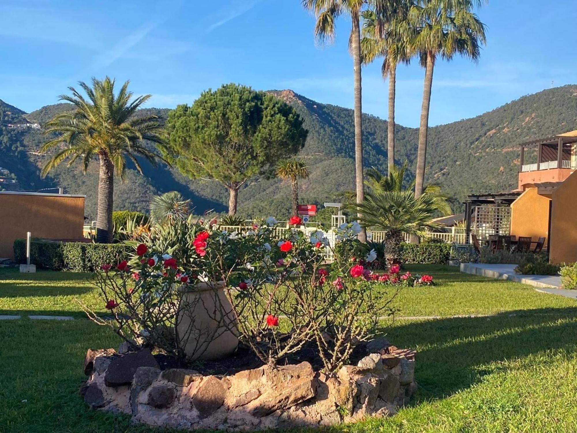 Vue Mer Et Jardin Théoule-sur-Mer Extérieur photo